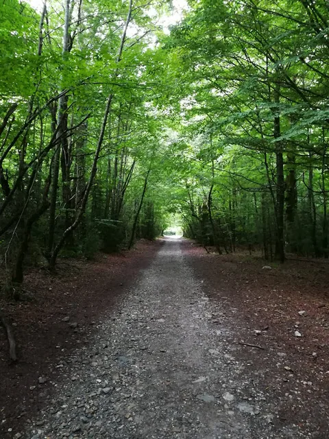 Psicóloga ansiedad, estrés, depresión y mindfulness....